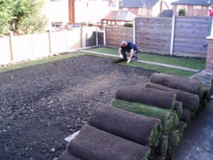 Man Laying Lawn Turf