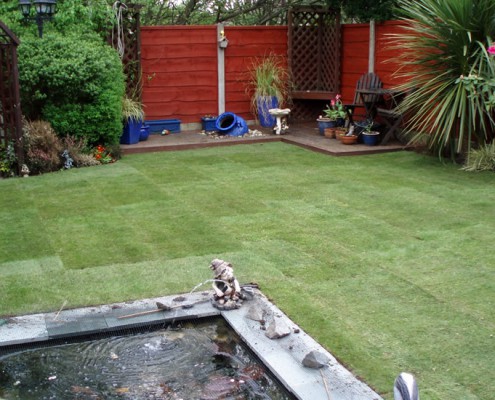 Completed Lawn