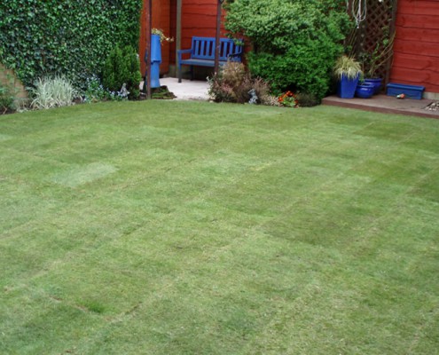 Completed Lawn
