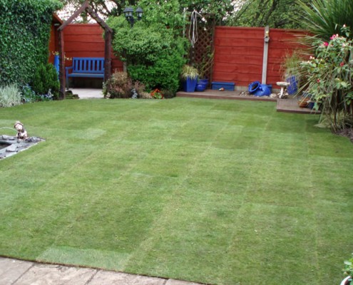 Completed Lawn