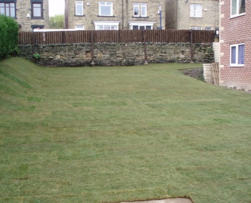 Completed Lawn