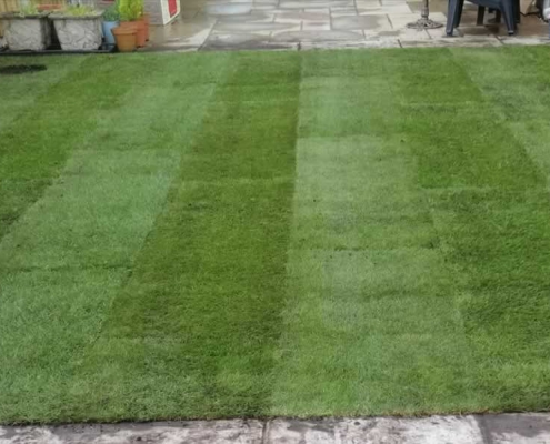 Lawn Complete